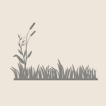 Grass drawing